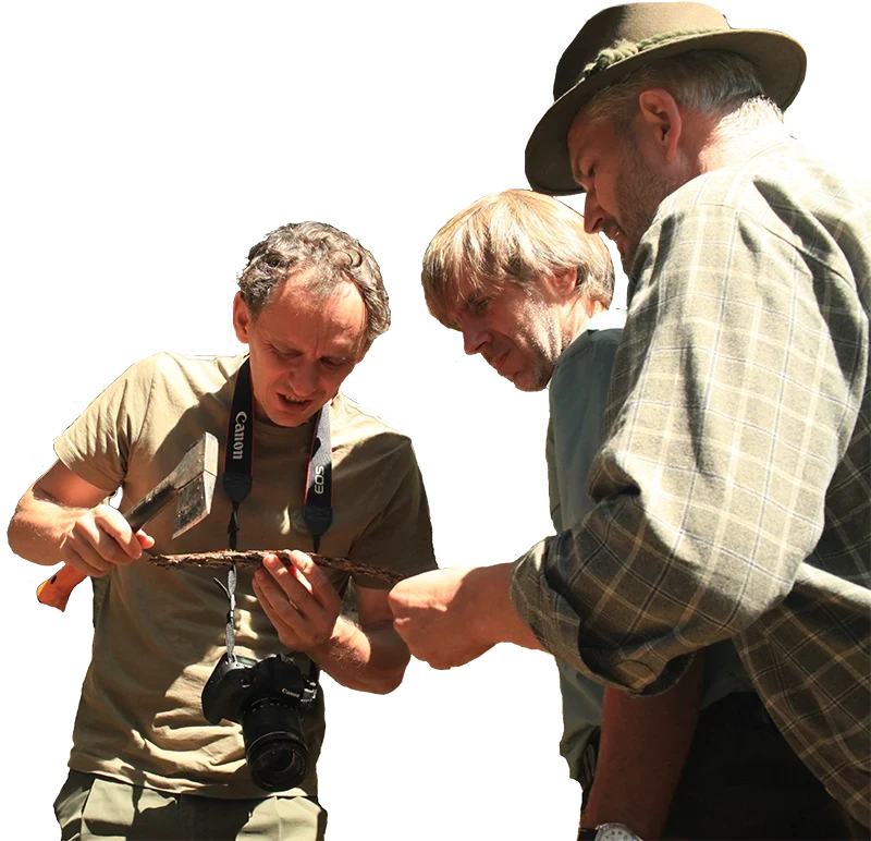 forest protection service