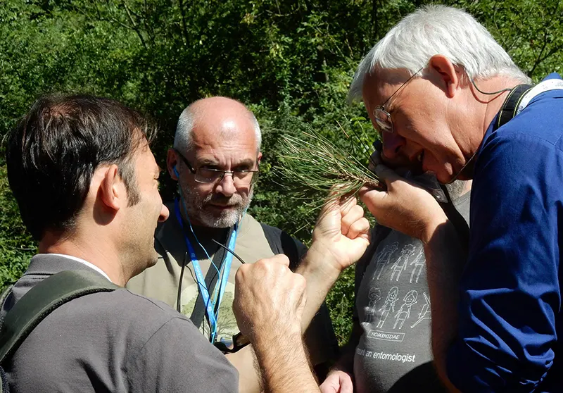 International cooperation